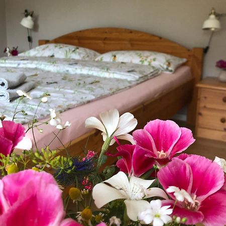 Ferienwohnung Elbsegler بليكيد المظهر الخارجي الصورة
